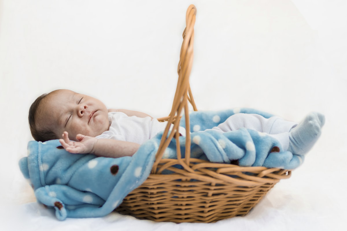 a baby sleeping in a basket with a blanket related to Snuggle and Snort: Creating a Cozy Nest for Your New Arrival