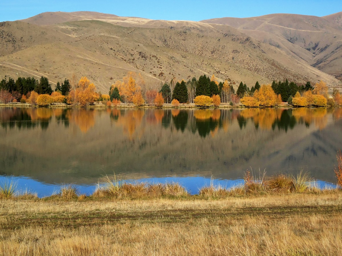 a beautiful autumn day in New Zealand related to Discover the Charm of Bed and Breakfasts in South Lake Tahoe