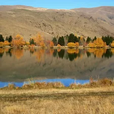 a beautiful autumn day in New Zealand related to Discover the Charm of Bed and Breakfasts in South Lake Tahoe