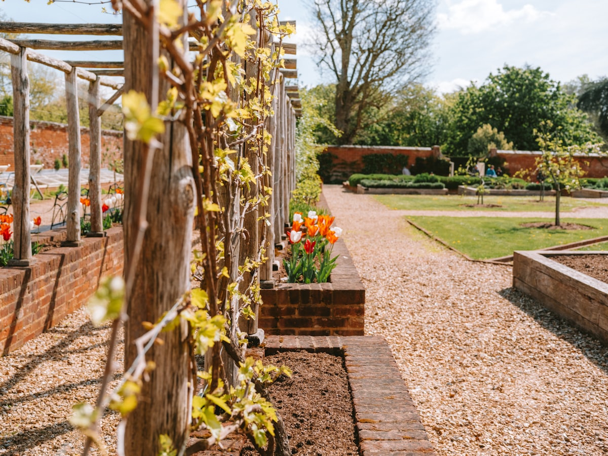 A beautiful garden with a gravel path and flower beds. related to Elevate Your Garden: Essentials of Raised Garden Bed Design