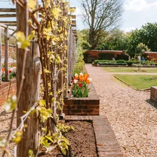 A beautiful garden with a gravel path and flower beds. related to Elevate Your Garden: Essentials of Raised Garden Bed Design
