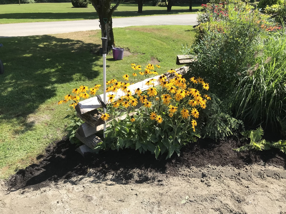 a bench sitting in the middle of a field of flowers related to Building a Raised Garden Bed