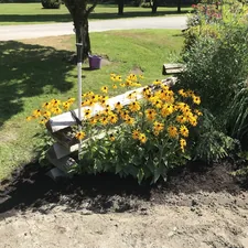 a bench sitting in the middle of a field of flowers related to Building a Raised Garden Bed