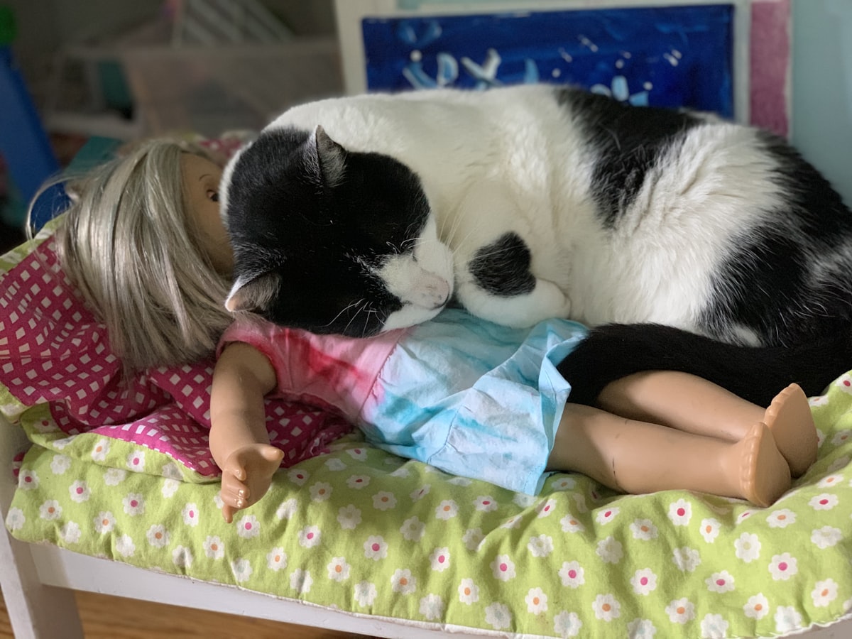 A black and white cat sleeps on a doll. related to The Ultimate Guide to Choosing the Perfect 18 Doll Bed