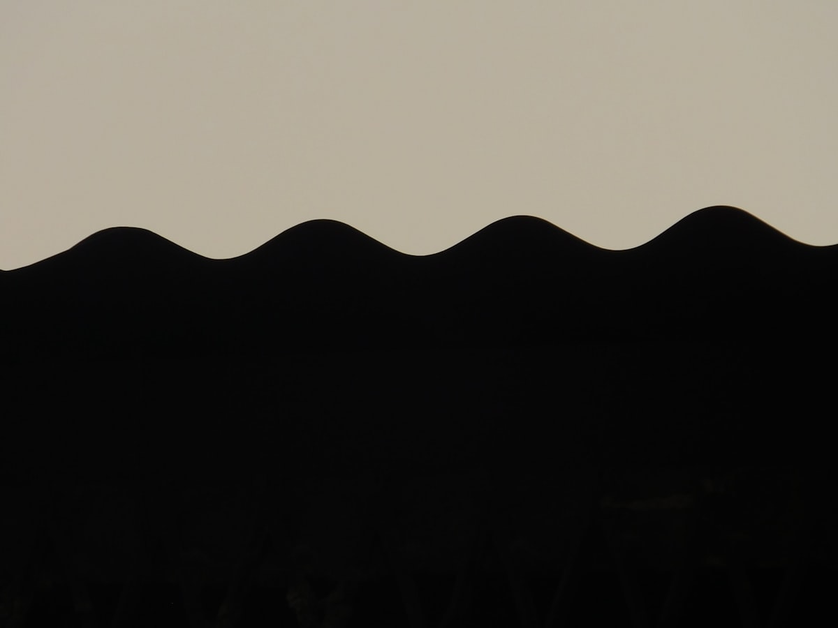 A black and white photo of a bird flying in the sky related to Black and Cream Valance: Elevate Your Curtains with a Touch of Elegance