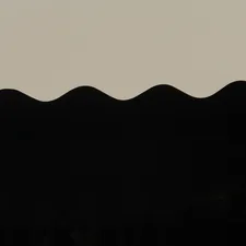 A black and white photo of a bird flying in the sky related to Black and Cream Valance: Elevate Your Curtains with a Touch of Elegance