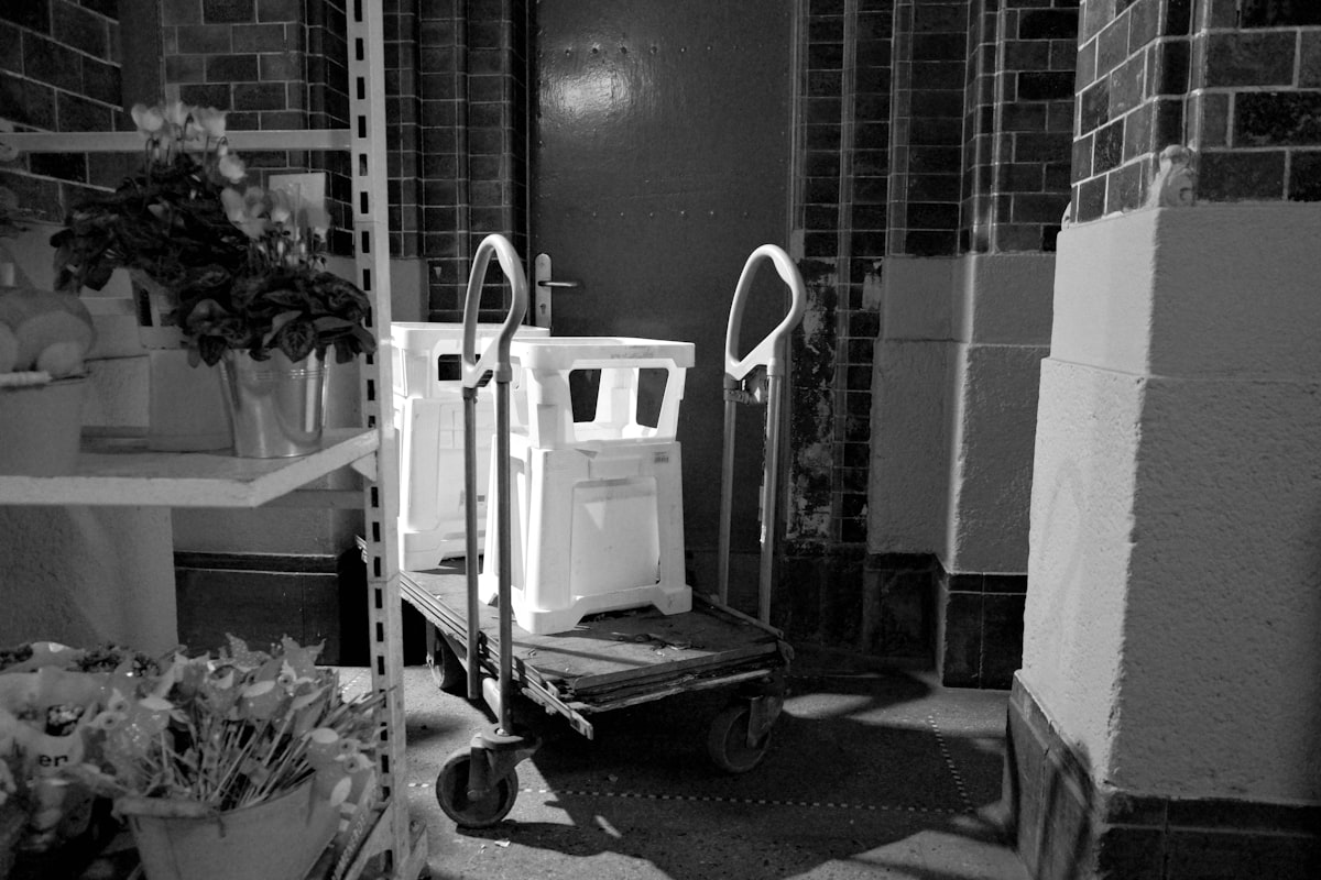 A black and white photo of a room related to Navigating the Bed Bath and Beyond Cart
