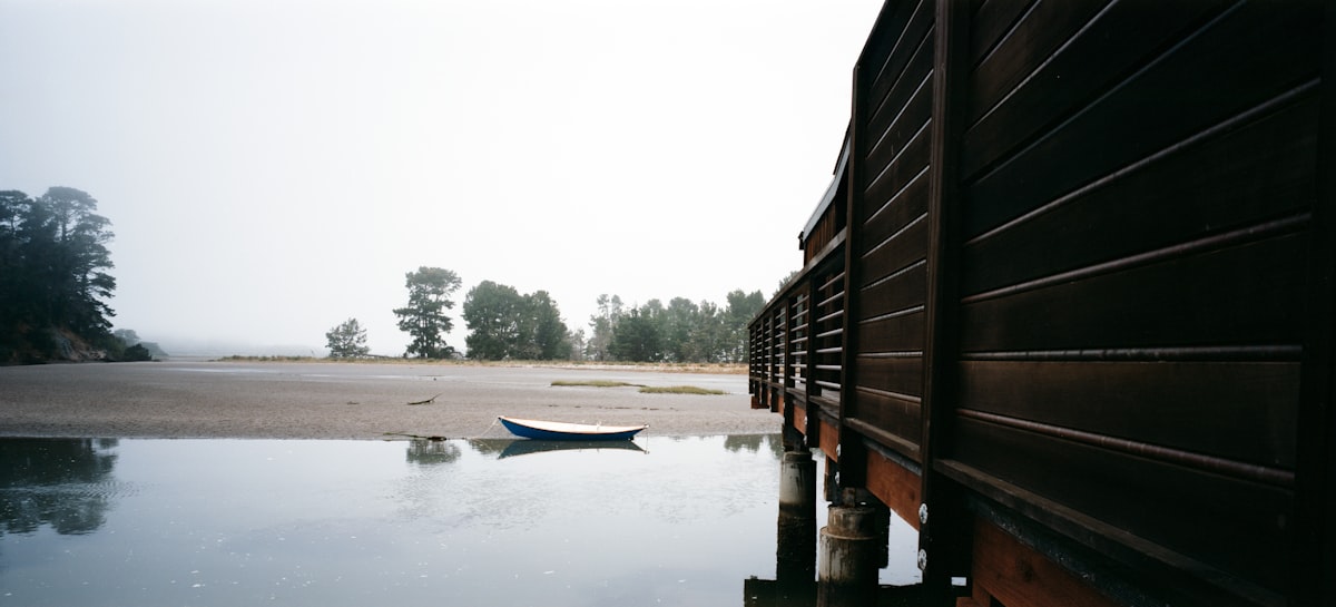 a boat in a body of water related to The Ultimate Dockside Experience: Uniting Two Loves