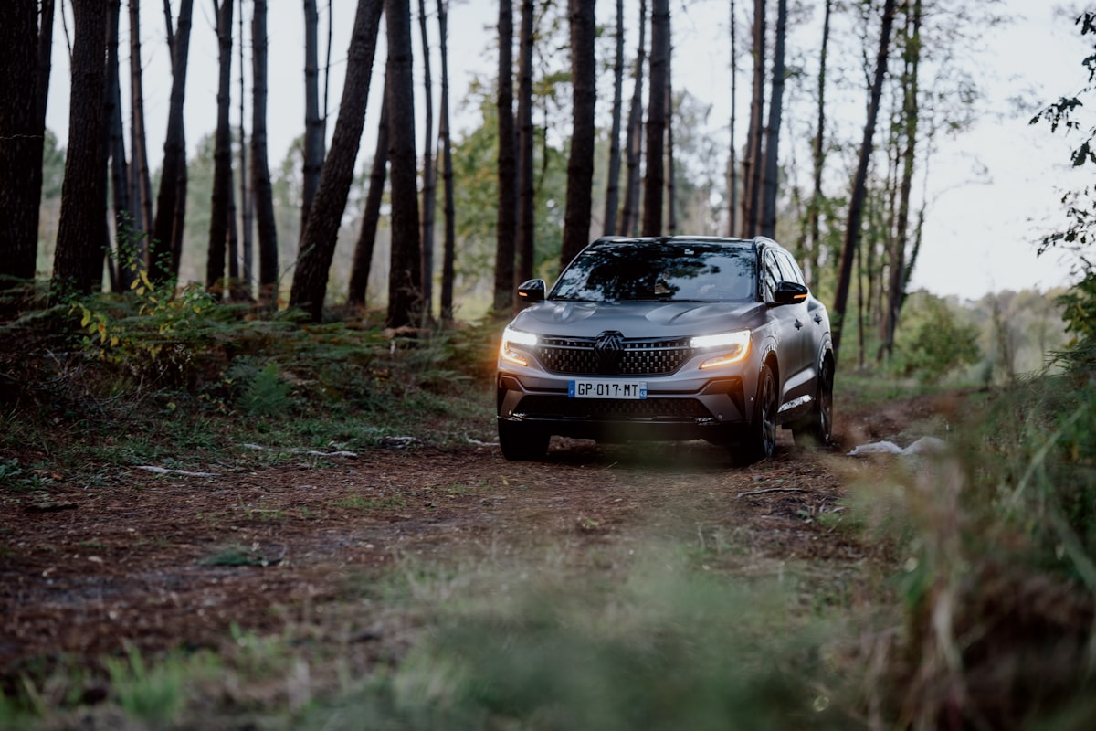 a car driving down a dirt road in the woods related to Discover the Elegance of the Svelvik Bed Frame: A Perfect Blend of Style and Comfort