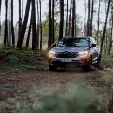 a car driving down a dirt road in the woods related to Discover the Elegance of the Svelvik Bed Frame: A Perfect Blend of Style and Comfort