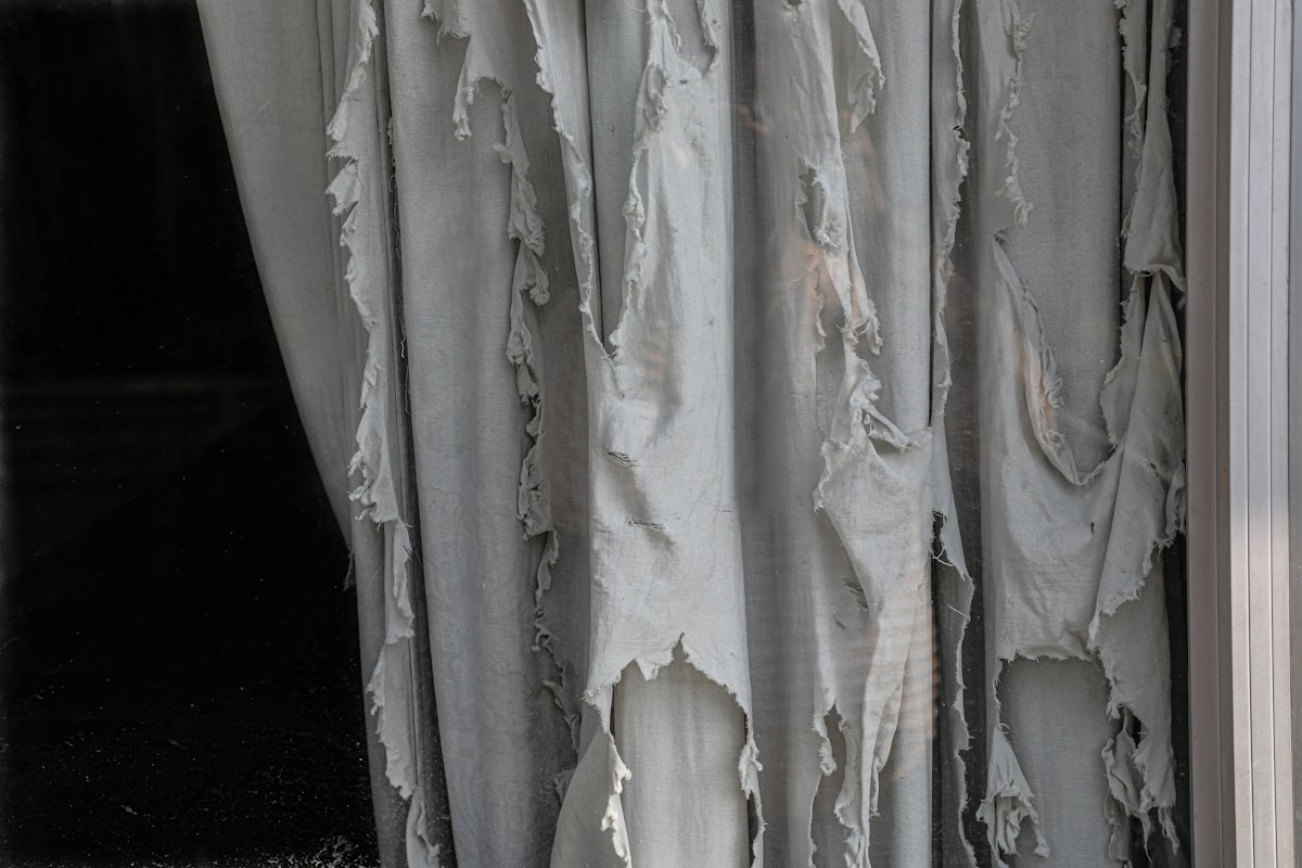 A cat sitting on a window sill in front of a curtain related to Statement Draperies: Embrace Elegance with Contemporary Curtain Valances