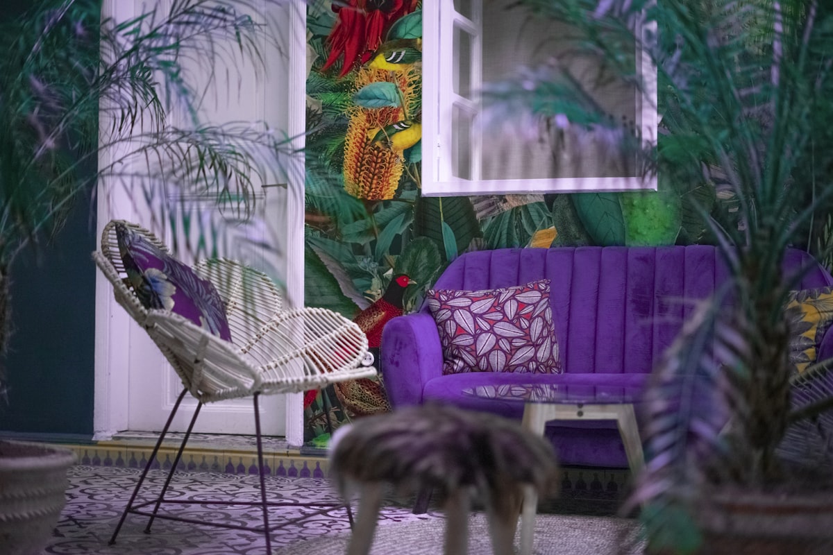 a cat walking by a chair related to Elevate Your Moroccan Home with Sumptuous Window Valances