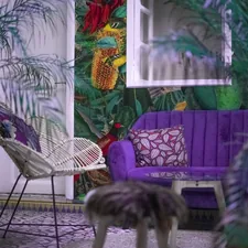 a cat walking by a chair related to Elevate Your Moroccan Home with Sumptuous Window Valances