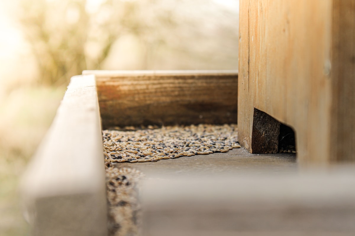 a close up of a wooden door frame related to The Complete Guide to Raised Bed Construction