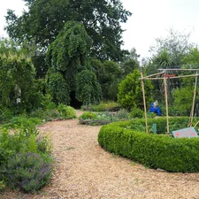 A community garden in the Christchurch red zone related to The Benefits and Beauty of Raised Bed Gardens