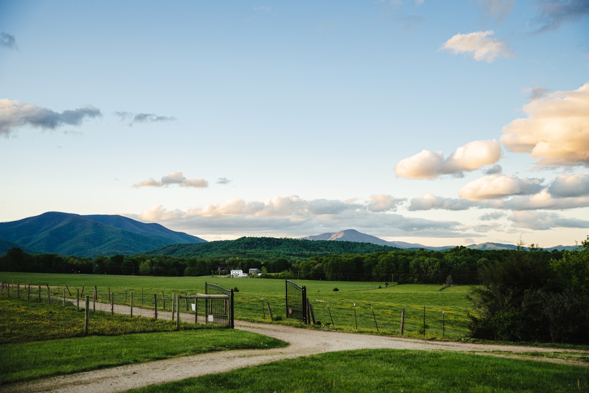a dirt road going through a lush green field related to Experience the Charm of the Old Dominion: A Guide to Bed and Breakfasts in Virginia