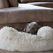a dog laying in a dog bed on the floor related to Paws in Luxury: The Ultimate Guide to High-End Canine Comfort