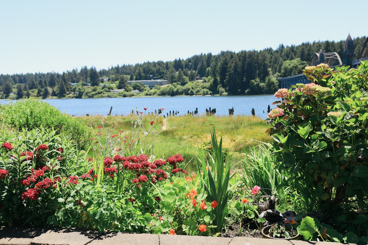 a field of flowers next to a body of water related to Exploring the Charm of Bed and Breakfasts in Oregon