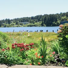 a field of flowers next to a body of water related to Exploring the Charm of Bed and Breakfasts in Oregon