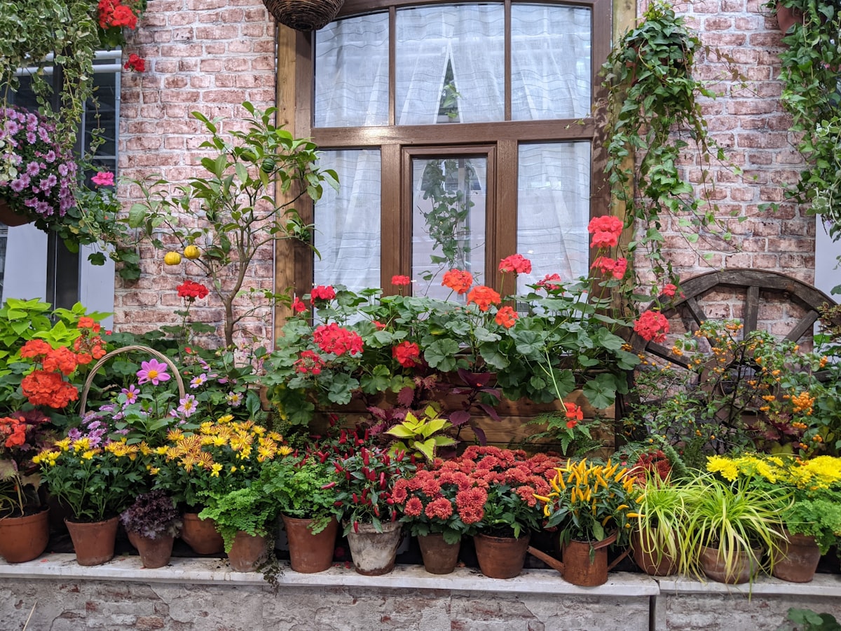 a group of flowers in a window related to The Ultimate Guide to Raised Bed Planters