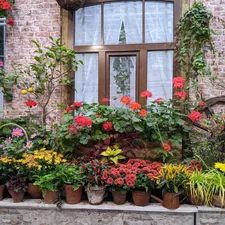 a group of flowers in a window related to The Ultimate Guide to Raised Bed Planters