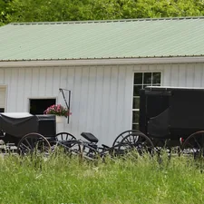 a horse drawn carriage parked in front of a white building related to Charming Getaways in Pennsylvania Countryside