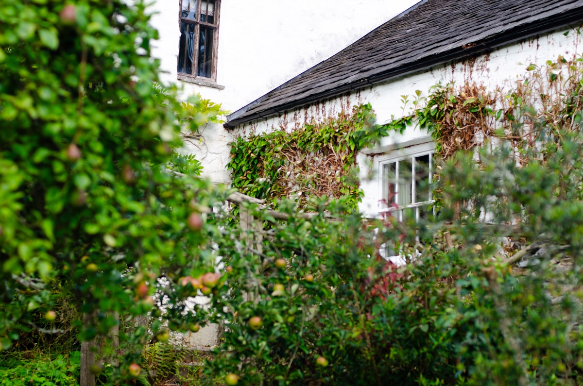 A house in the Lake District related to A Cozy Retreat at Orchard House Bed and Breakfast