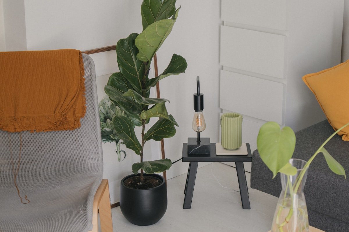 a living room with a couch, chair and a plant related to Elevate Your Home Decor with Red Window Valances