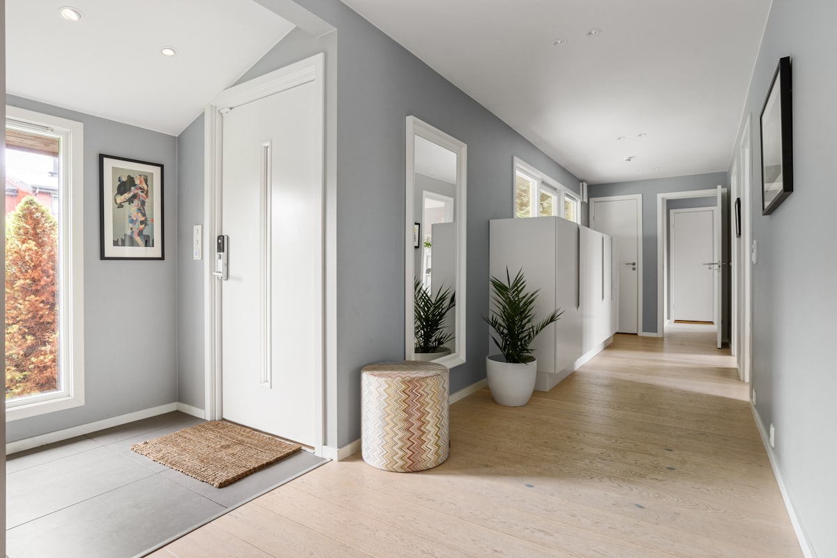 A long hallway with a potted plant on the floor related to Home Decor Ideas for Accessible Entryways
