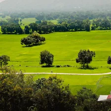 A lush green field surrounded by trees and mountains related to Discover the Charm of Bed and Breakfast Hill Country