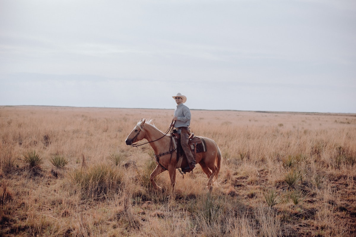 a man riding on the back of a brown horse related to Unleash the Wild West: Exploring 'The Man Who Shot Liberty Valance' on DVD