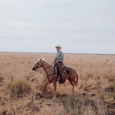 a man riding on the back of a brown horse related to Unleash the Wild West: Exploring 'The Man Who Shot Liberty Valance' on DVD