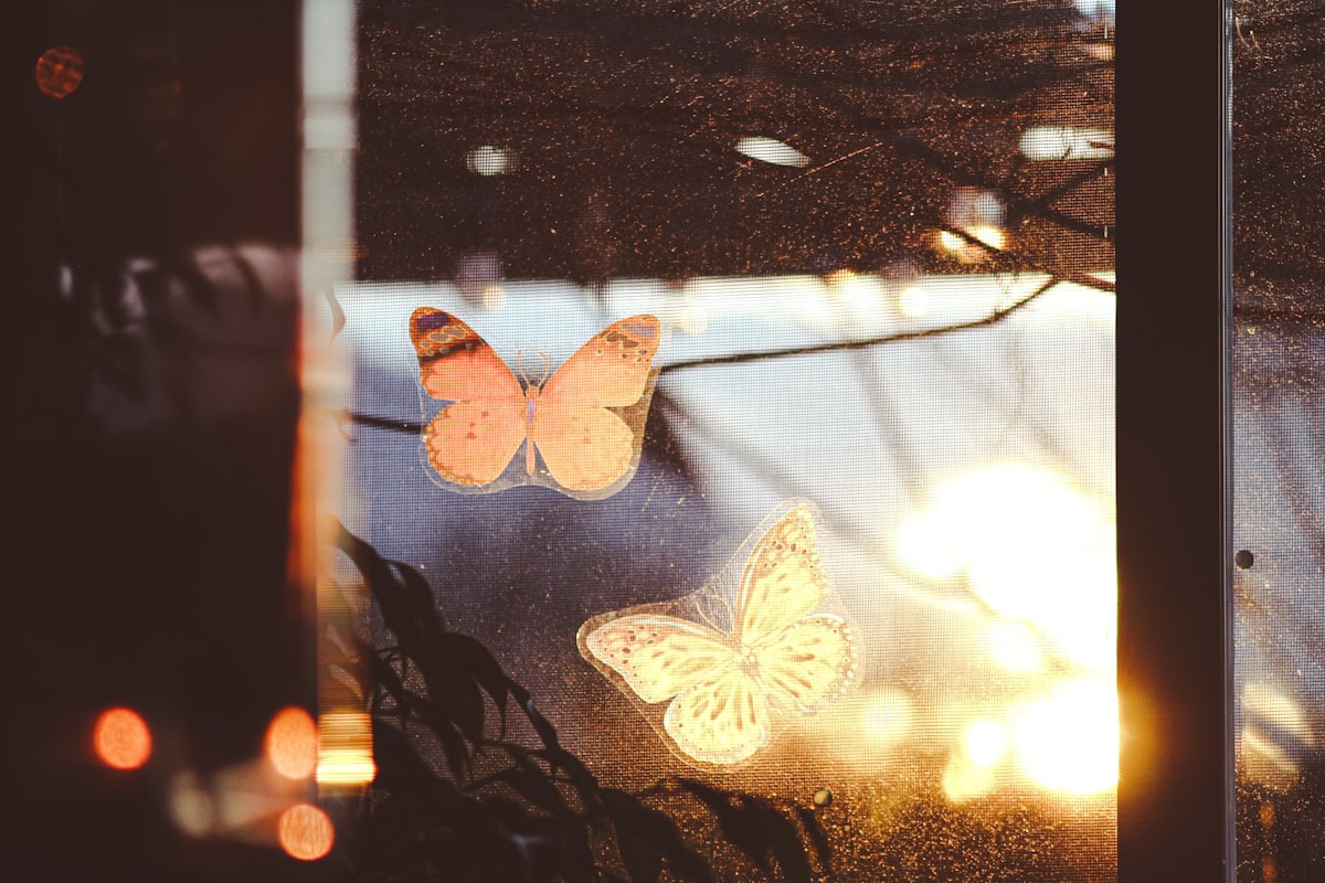 a picture of a window with some butterflies on it related to Butterfly Valance Curtains for a Delicate Touch