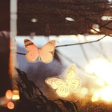 a picture of a window with some butterflies on it related to Butterfly Valance Curtains for a Delicate Touch