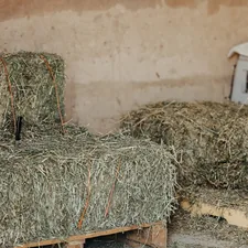 a pile of hay sitting on top of a wooden pallet related to Discover the Best Bale Beds for Sale: Your Ultimate Guide