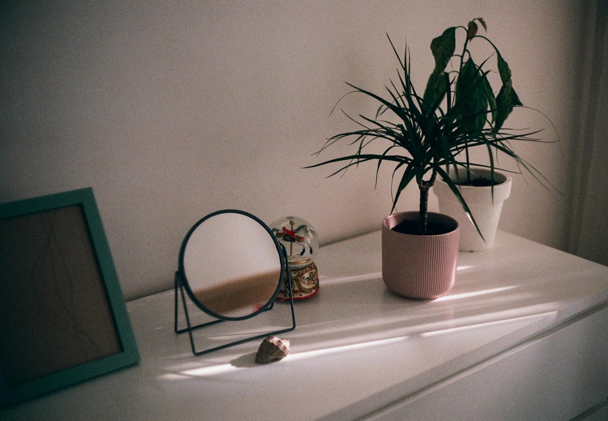 a potted plant sitting on top of a white dresser related to Optimizing Your Home: The Ultimate Guide to Corner Entryway Storage