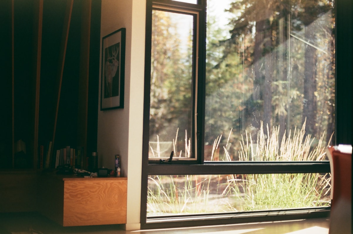 a room with a view of a forest outside the window related to Elevate Your Windows with Custom Valances