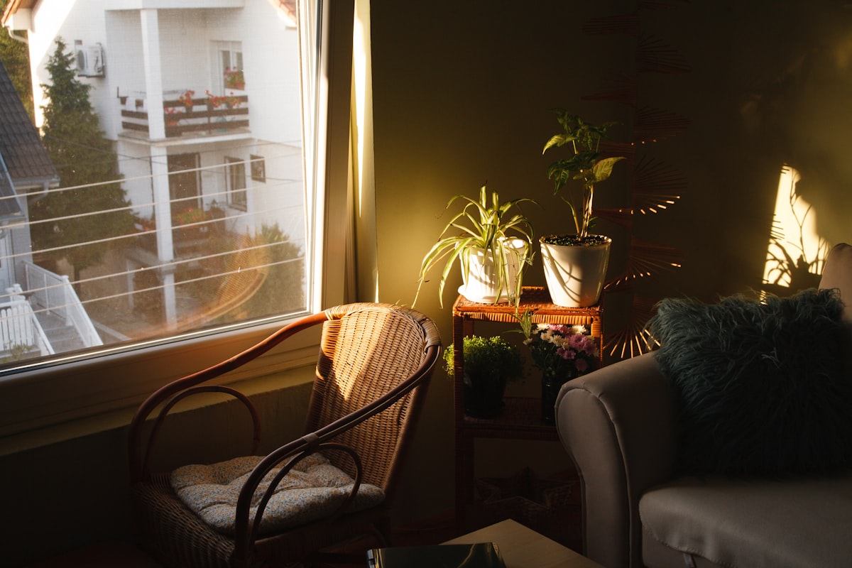 a room with a window and a couch related to Warm Up Your Home with Majestic Chimineas from Home Depot