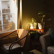 a room with a window and a couch related to Warm Up Your Home with Majestic Chimineas from Home Depot