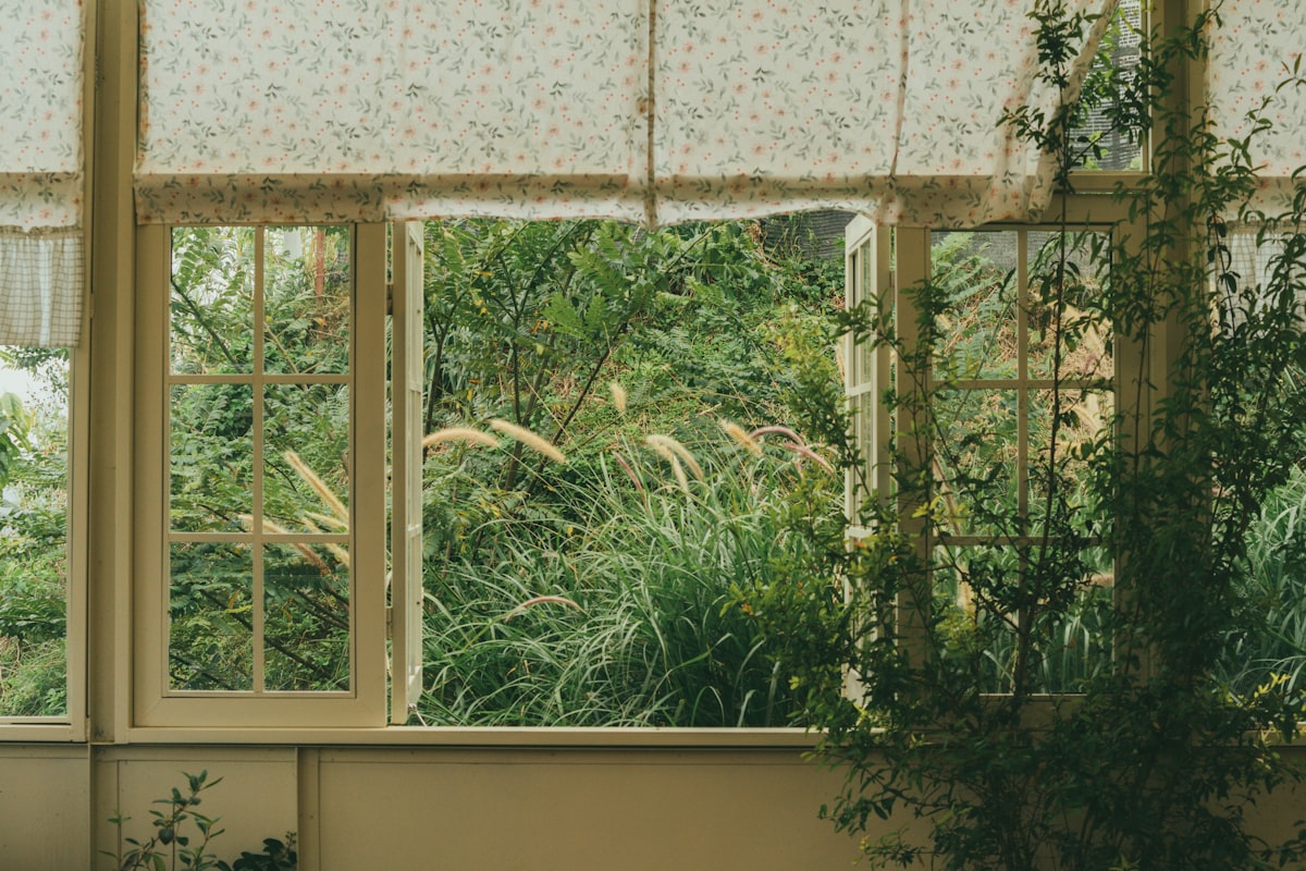 a room with a window and a plant in it related to Waverly Garden Room Valance