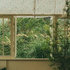 a room with a window and a plant in it related to Waverly Garden Room Valance