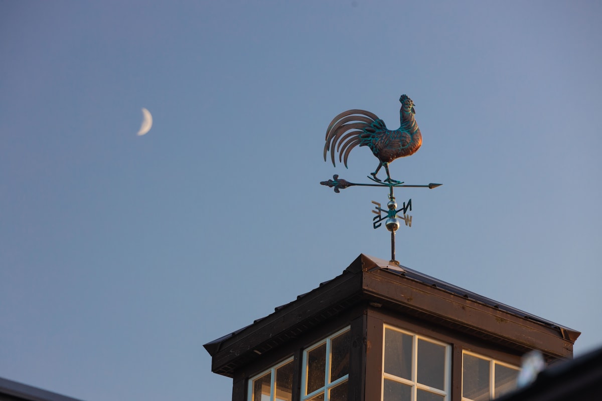 a rooster weather vane on top of a roof related to The Blue Rooster Chiminea: A Statement Piece for Your Backyard
