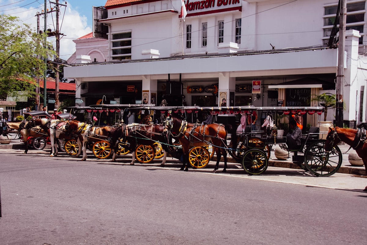 a row of horses pulling carriages down a street related to Charming Getaway Experience at a Country Bed and Breakfast