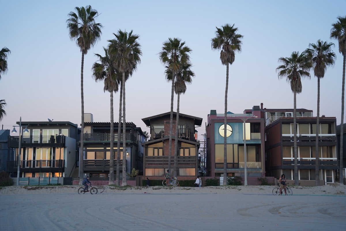 a row of palm trees next to a beach related to Maximizing Space with Murphy Beds in Los Angeles