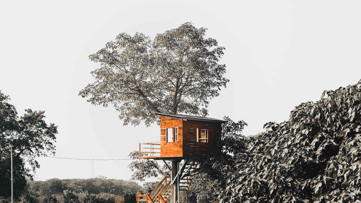 a tree house in the middle of a field related to The Bunk Bed Treehouse: A Childhood Dream Come True