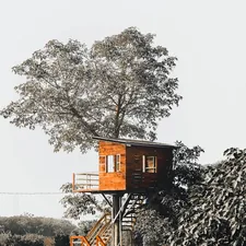a tree house in the middle of a field related to The Bunk Bed Treehouse: A Childhood Dream Come True