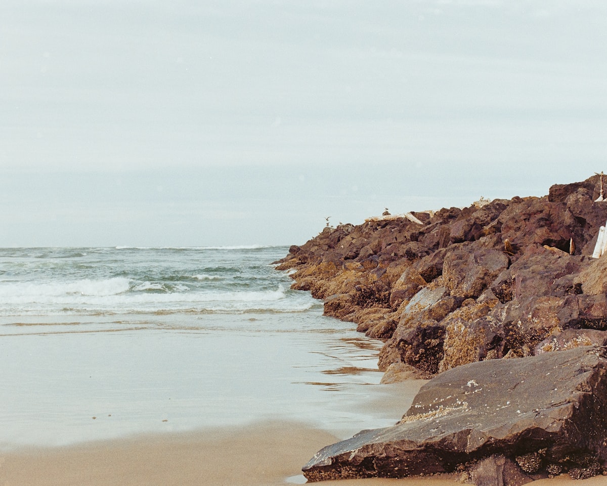 a woman standing on a rocky beach next to the ocean related to Indulge in Coastal Serenity at Cambria's Finest Bed and Breakfasts