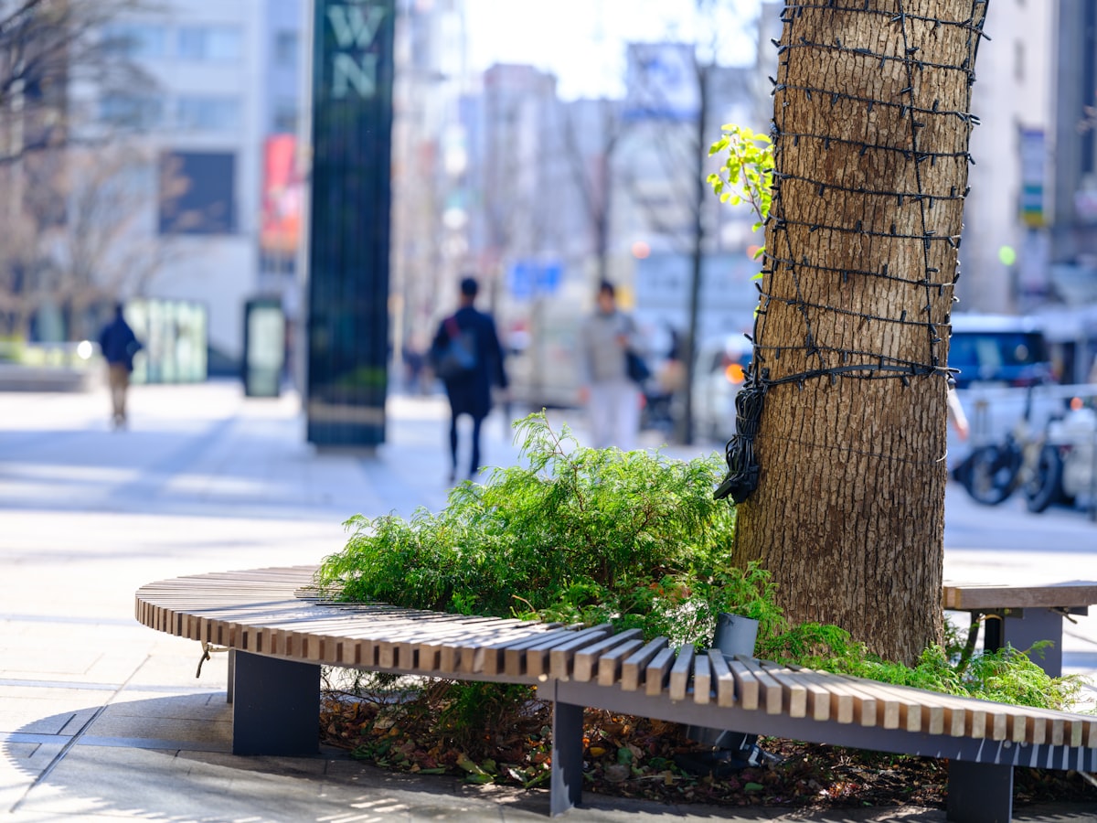 A wooden bench sitting next to a tree on a sidewalk related to Entryway Tree Bench: The Epitome of Welcoming Curb Appeal