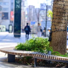 A wooden bench sitting next to a tree on a sidewalk related to Entryway Tree Bench: The Epitome of Welcoming Curb Appeal