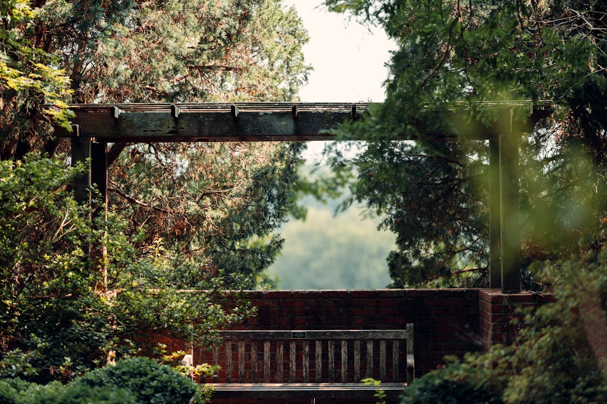 a wooden bridge over a river related to Exploring Bed Bath & Beyond at Arbor Oaks Arboretum